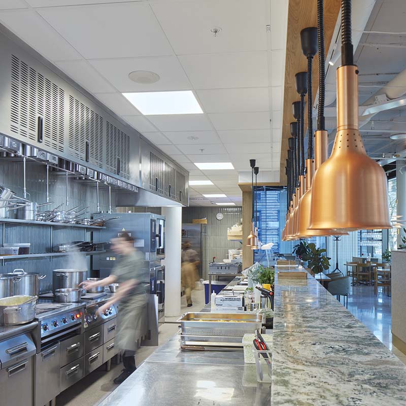 Ecophon Hygiene™ ceiling tiles